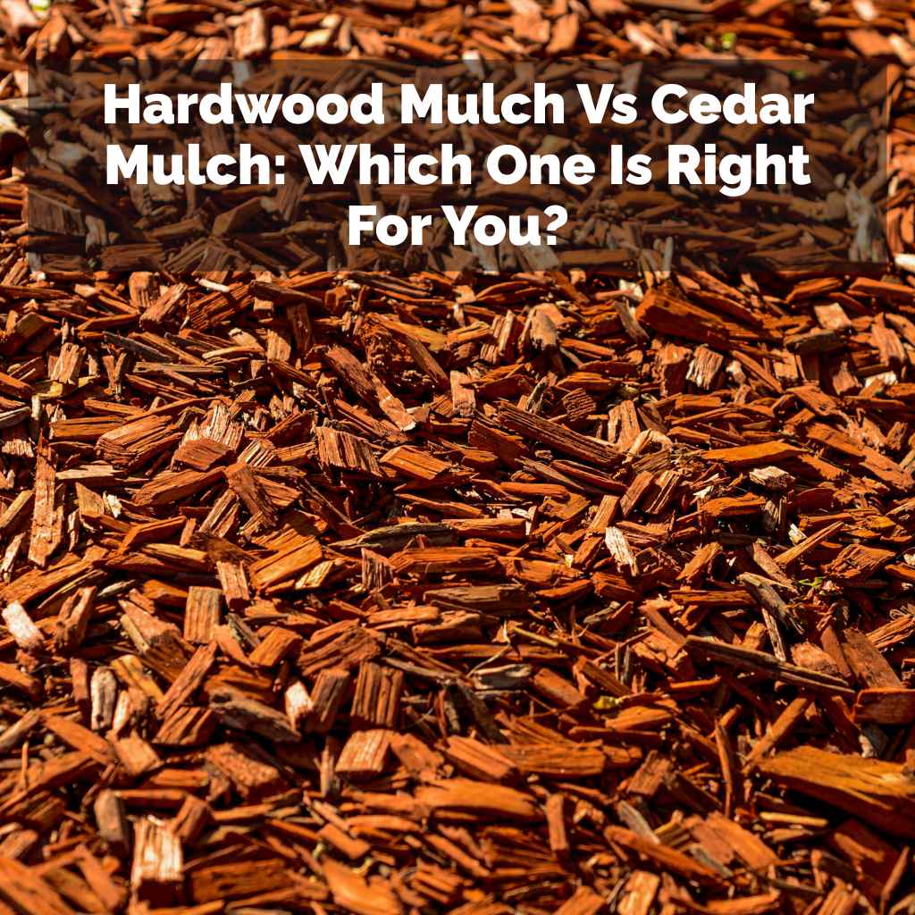 Hardwood Mulch Vs Cedar Mulch