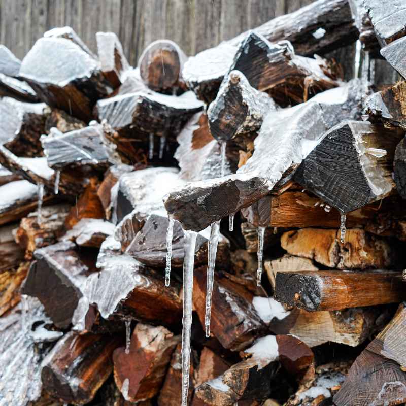 Idaho Firewood Permit 2023