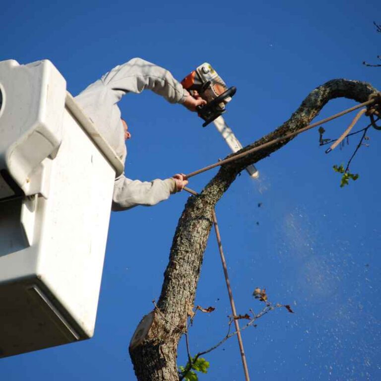 Lowe'S Wood Cutting Service