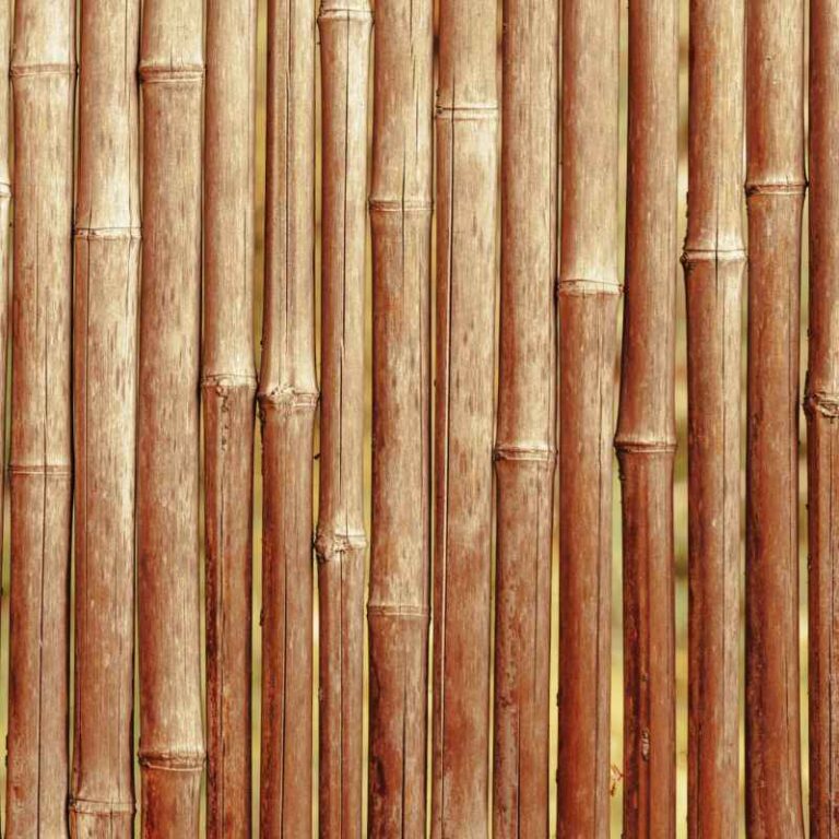 Morning Star Bamboo Floors