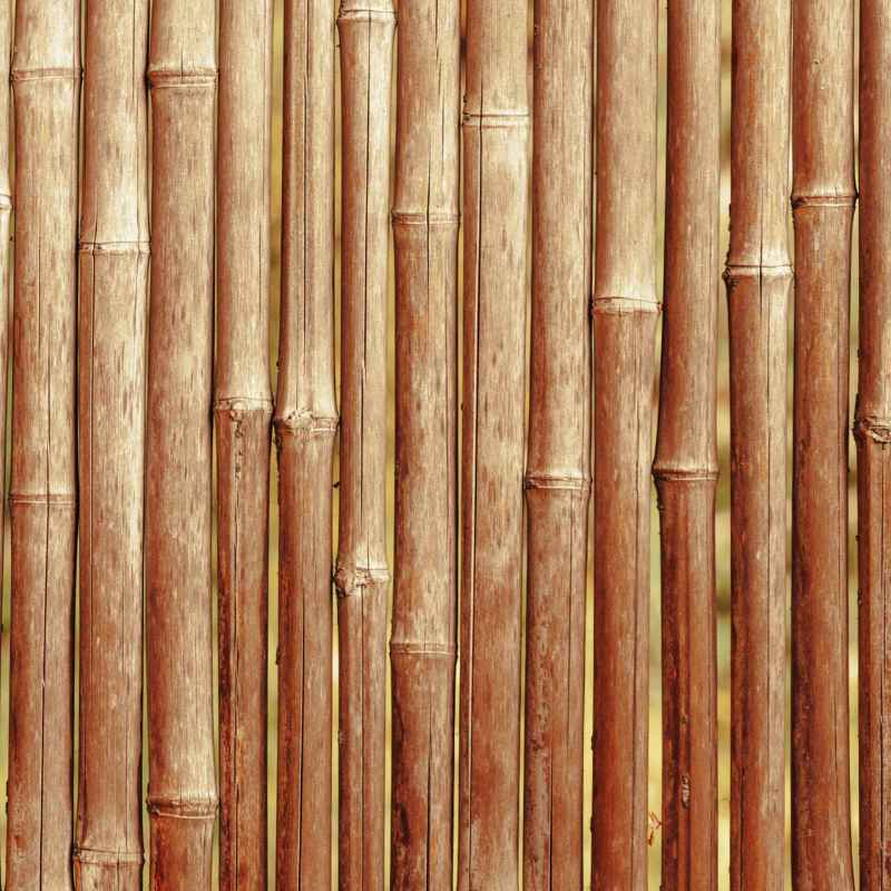 Morning Star Bamboo Floors