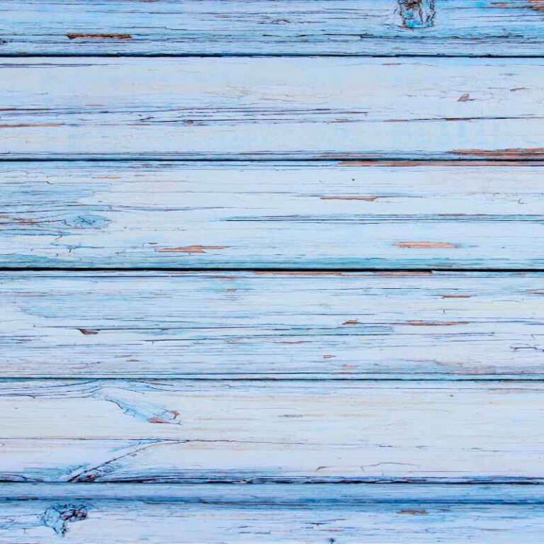 Rustic Painted Wood Floors