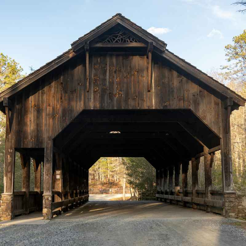 The Magic of Cedar Woods in Holiday Photos