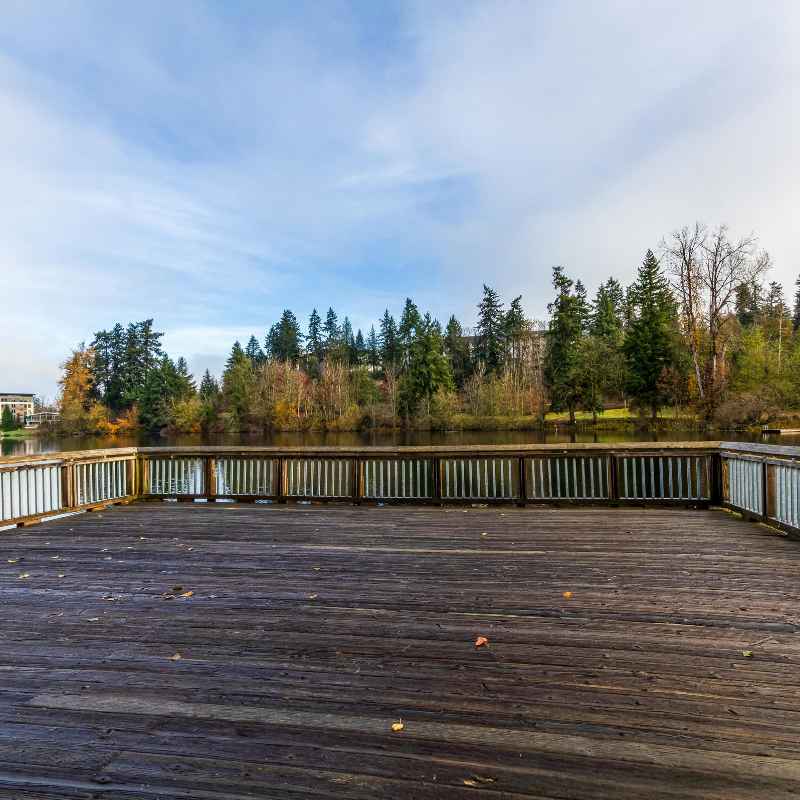 Understanding Decking Installation Costs