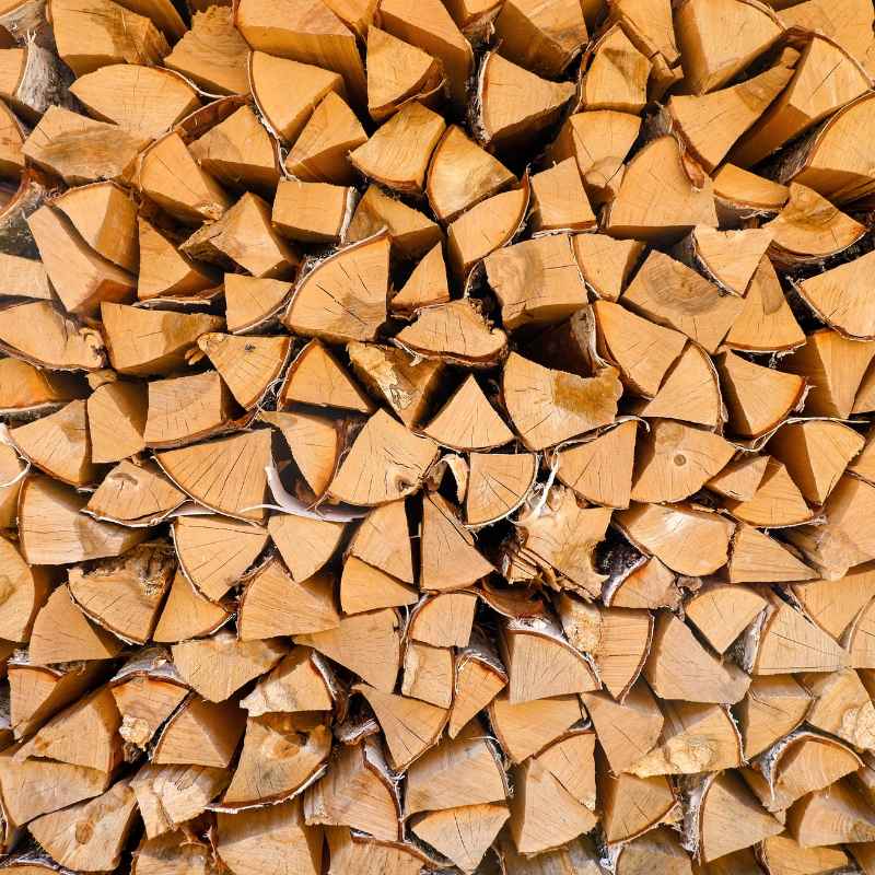 Understanding Idaho Firewood Permits