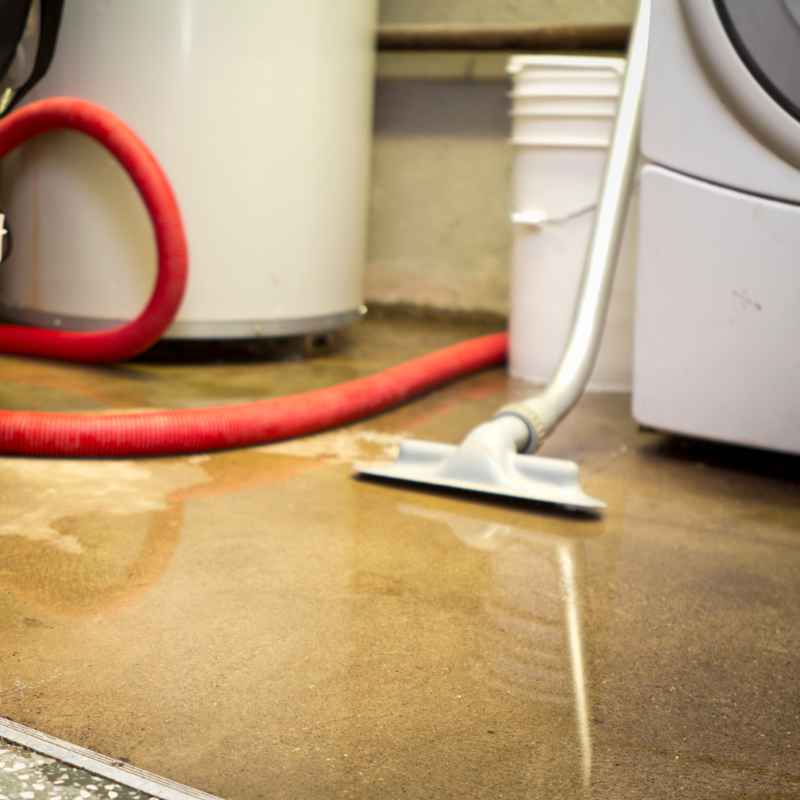 Understanding Your Hardwood Floor's Needs