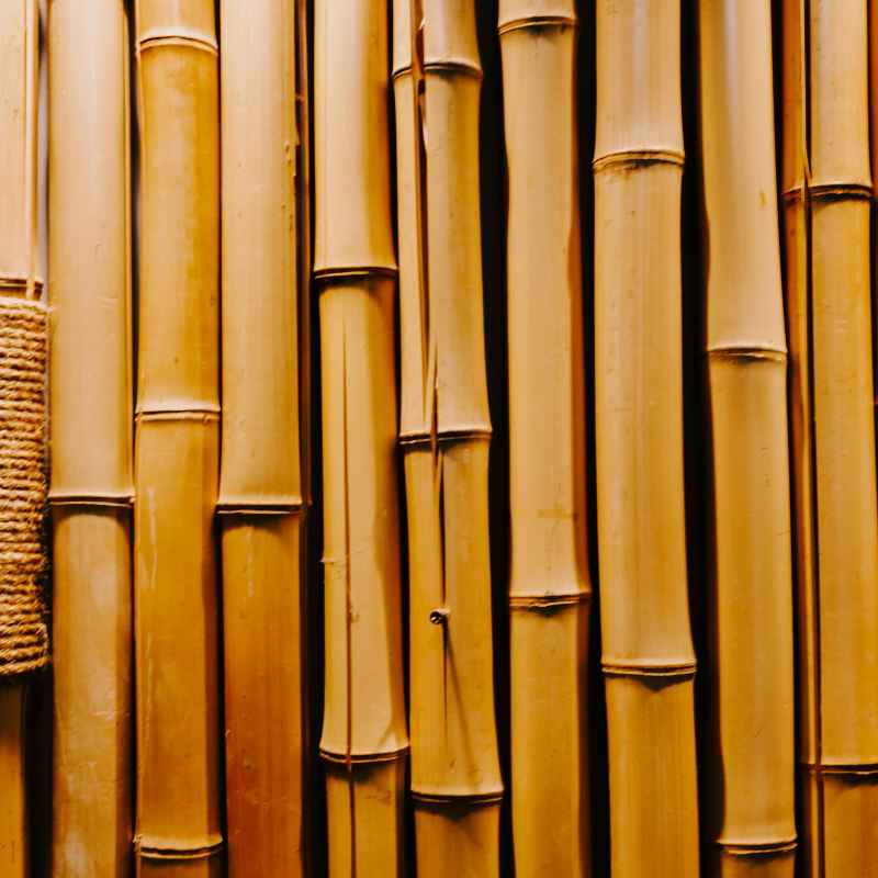 What Are Morning Star Bamboo Floors?
