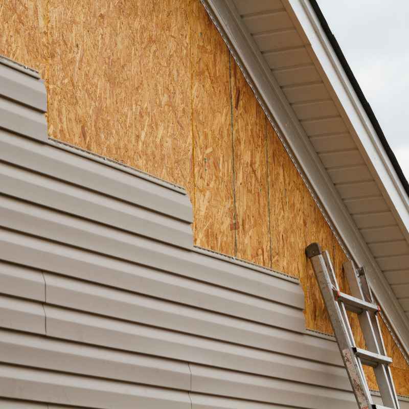 What Is T-111 Cedar Plywood Siding?
