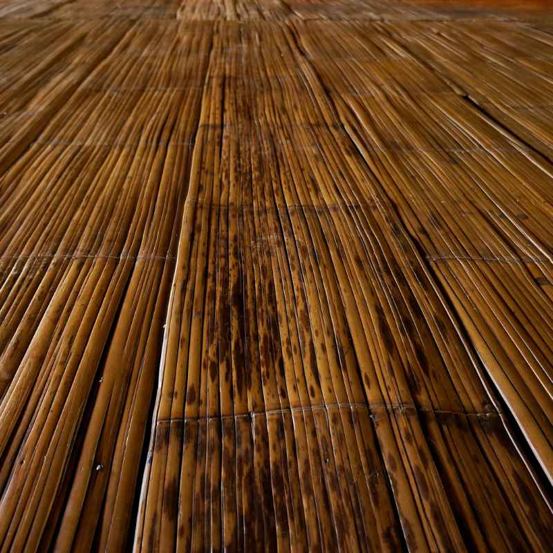 When to Reconsider Morning Star Bamboo