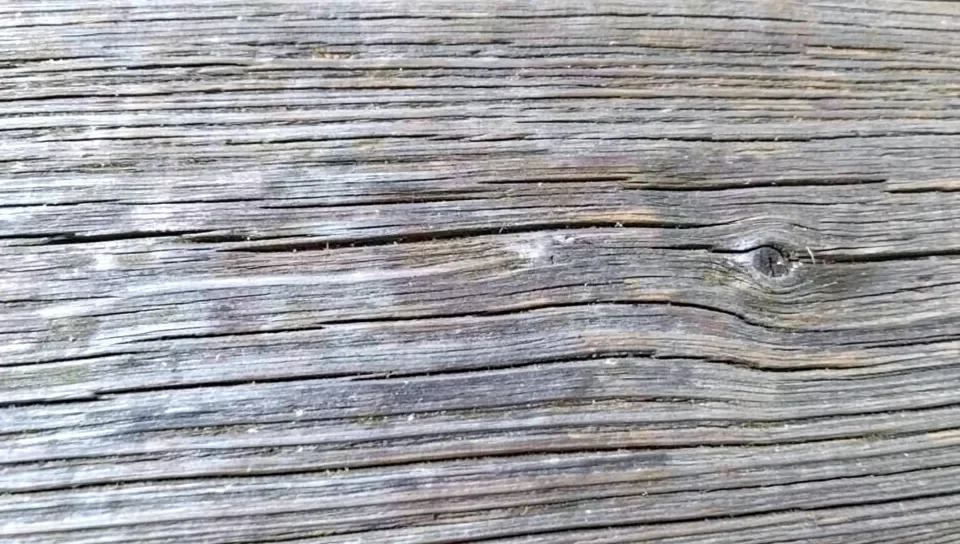 Close-up of weathered gray driftwood stain applied to red oak