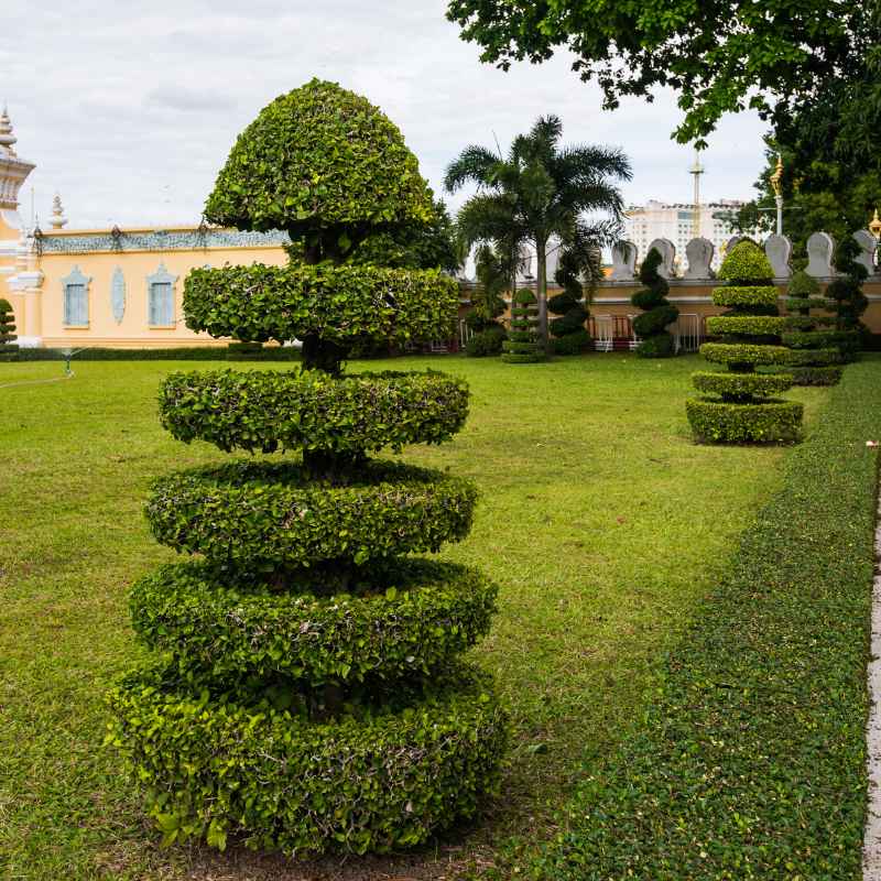 The Enduring Charm of Boxwood Shrubs