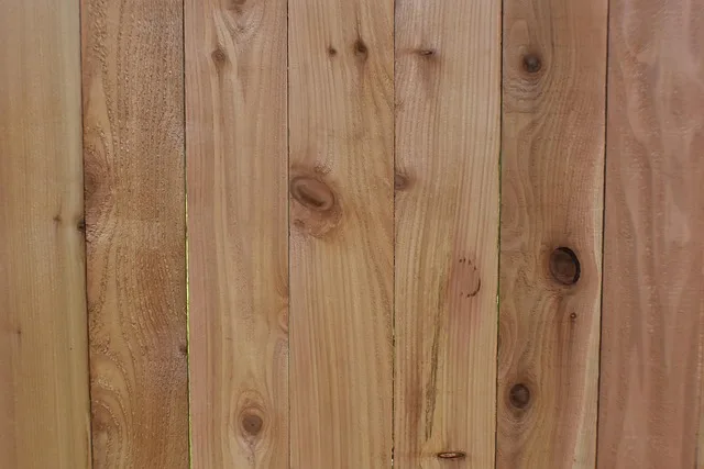 cedar wood natural oils thujopsene cedrol repel bugs moths and insects