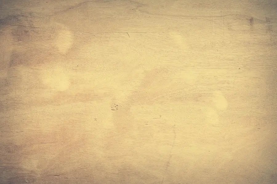 Danish oil on oak wood grain — the oil deepens the natural color and highlights the grain pattern