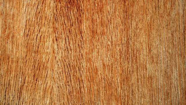 CDX Sheathing Plywood Surface Texture CDX sheathing plywood texture close up showing rough surface