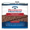 Thompson's WaterSeal solid color deck stain, 1 gallon
