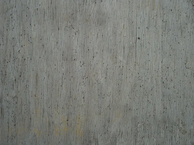 Close up of wood decay and rot caused by termite infestation