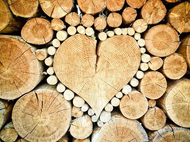 cedar firewood stacked logs ready for burning