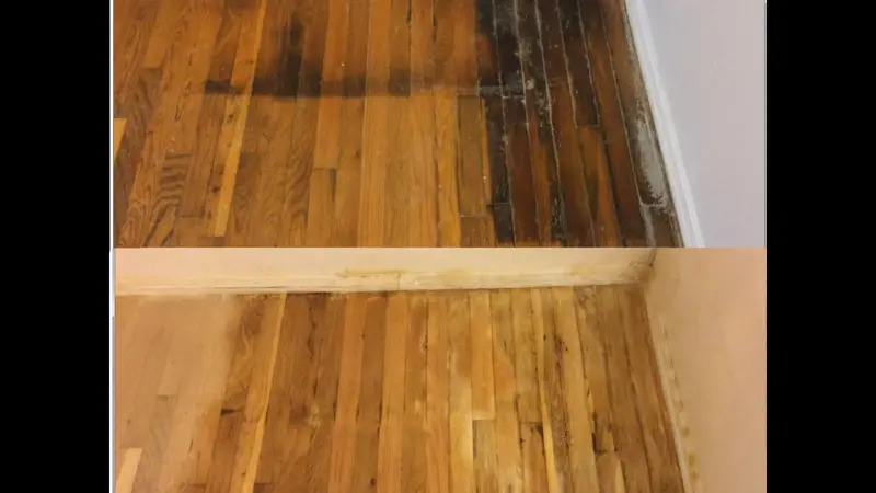 Cleaning a black urine stain on a wood floor with a vinegar and baking soda paste