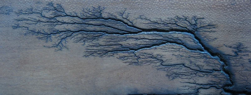 Finished branching Lichtenberg-style burn pattern on wood, an example of the look without a live high-voltage rig