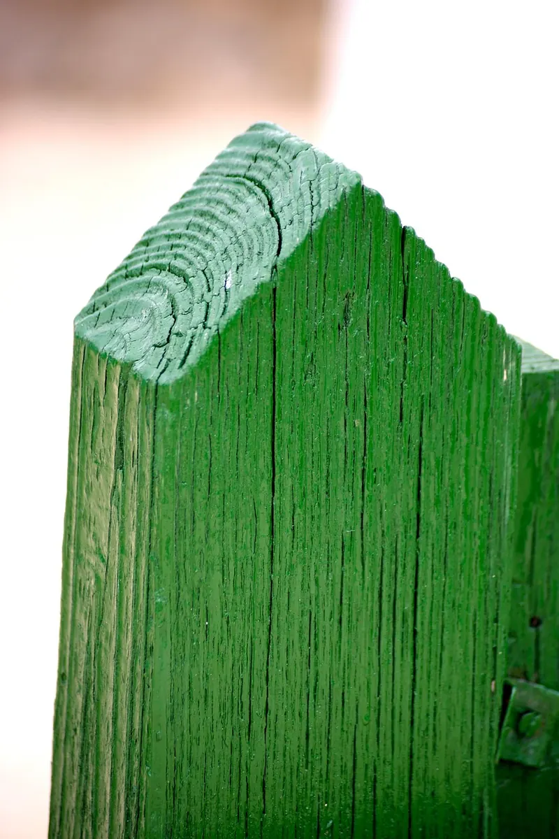 Wood fence paint on a green post, close-up showing wood grain beneath the film