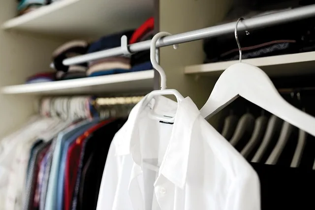 cedar wood hangers closet moth protection clothes
