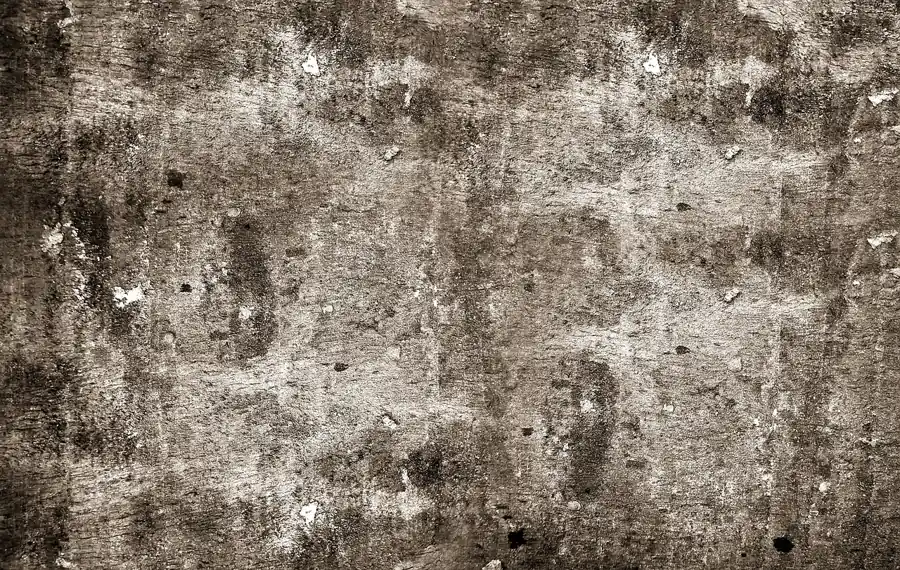 Rough, open-grain wood surface texture typical of a wire-brushed finish