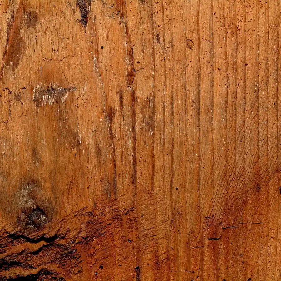 Close-up of solid wood grain texture with visible knots, contrasted against laminate's printed finish