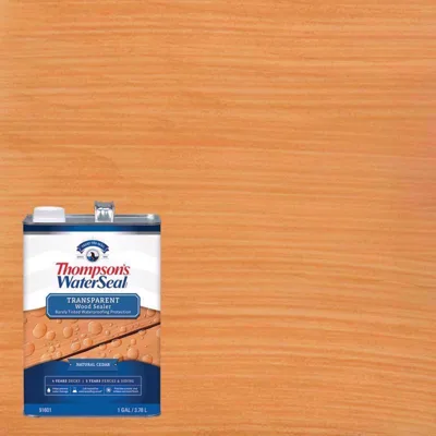 Thompson's WaterSeal Natural Cedar transparent waterproofing wood sealer, 1 gallon