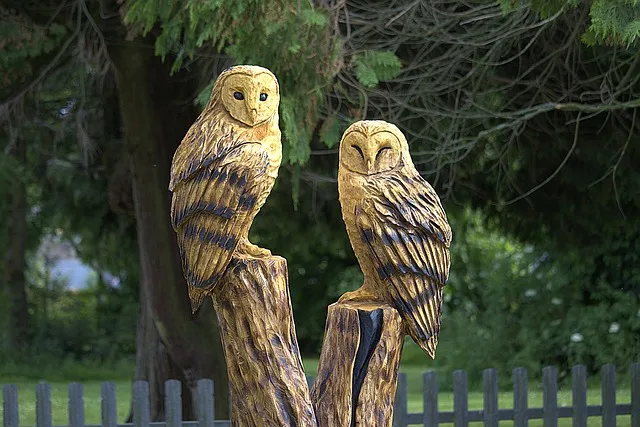 tree stump chainsaw carving ideas animals owl bear garden