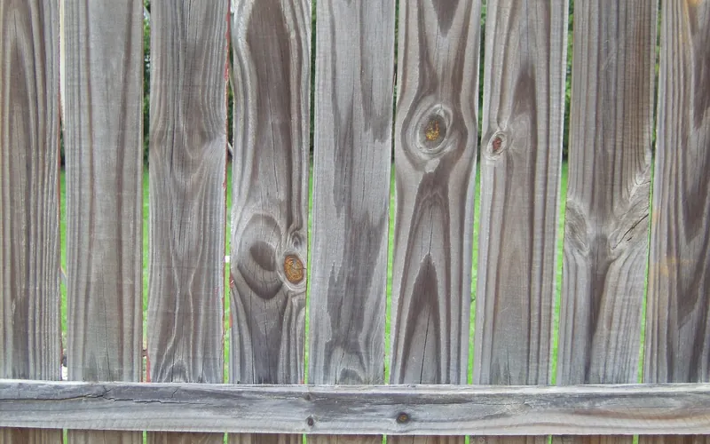 Weathered gray fence pickets with narrow gaps between boards above a rail Weathered gray fence pickets with narrow gaps between boards above a rail