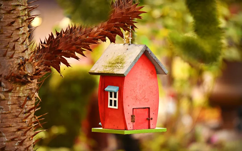 Wooden birdhouse nest box mounted on a tree trunk in a garden Wooden birdhouse nest box mounted on a tree trunk in a garden
