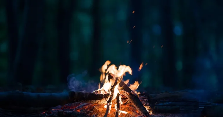 Pine wood burning in a campfire at night in a forest, sparks rising