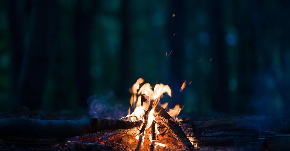 Pine wood burning in a campfire at night in a forest, sparks rising