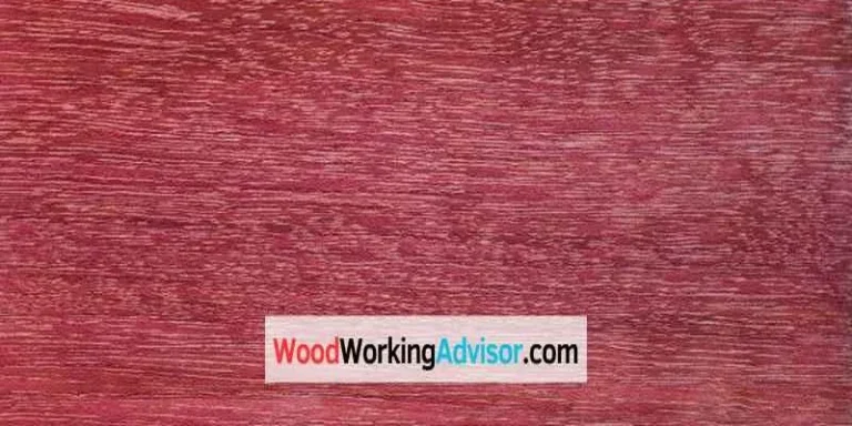 Close-up grain of purpleheart wood from the Peltogyne tree showing deep violet color