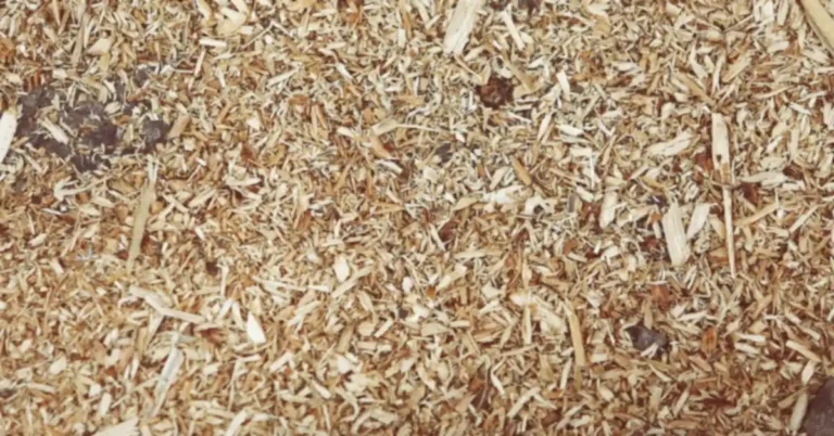 Close up of wood shavings used as garden mulch around a planting bed