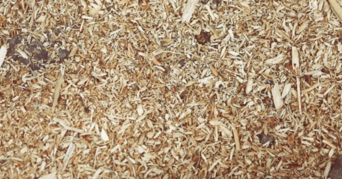 Close up of wood shavings used as garden mulch around a planting bed