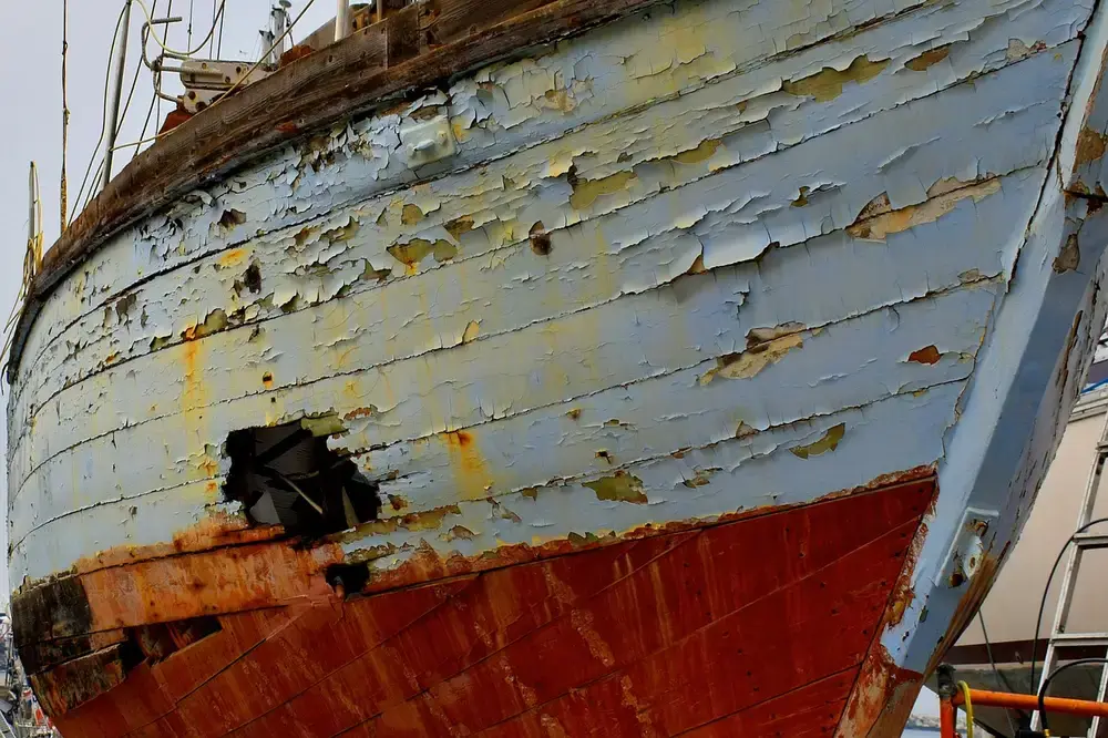 Best Waterproof Wood Glue for Marine Projects: research shows