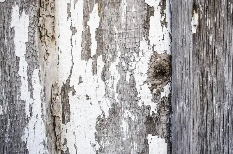 Best Way to Scrape Paint Off Wood Without Gouging It