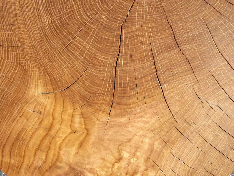 Close-up of wood glue being applied to the end grain of a hardwood board