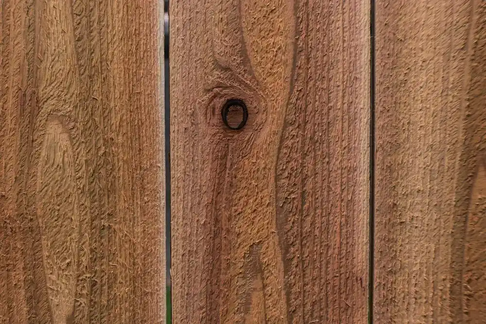 Can You Be Allergic to Cedar Wood? Real Symptoms, Causes & When