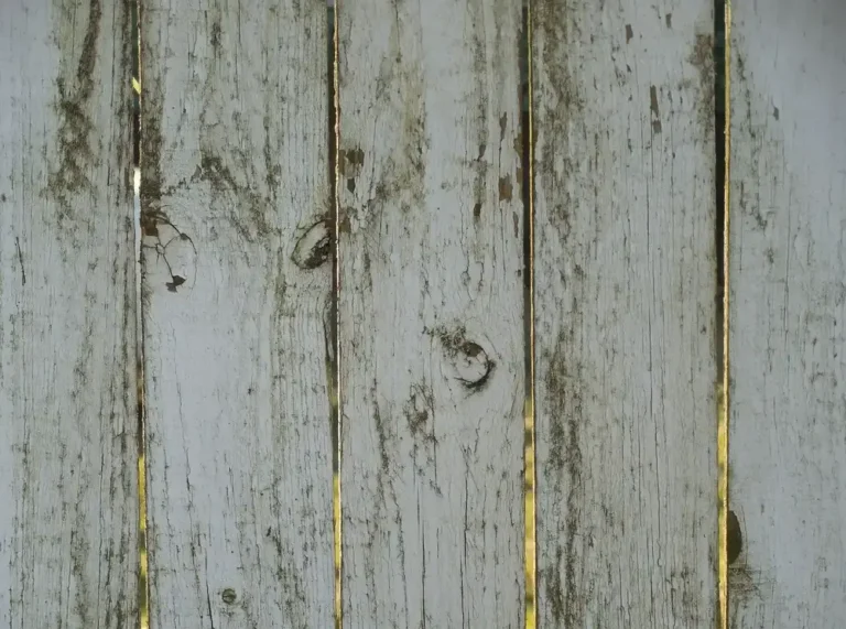 Can You Burn Wood with Mold? The Hazards Uncovered