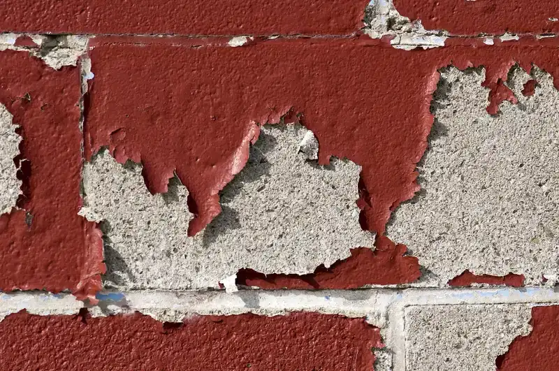 3 Best Adhesives for Wood to Cinder Block (2026): we compared