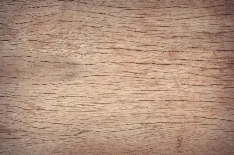 Dog Suddenly Slipping on Hardwood Floors: Causes and Fixes