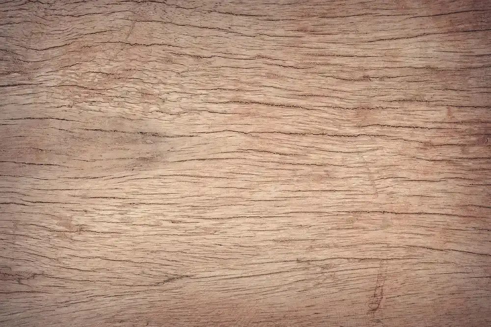 Dog Suddenly Slipping on Hardwood Floors: Causes and Fixes
