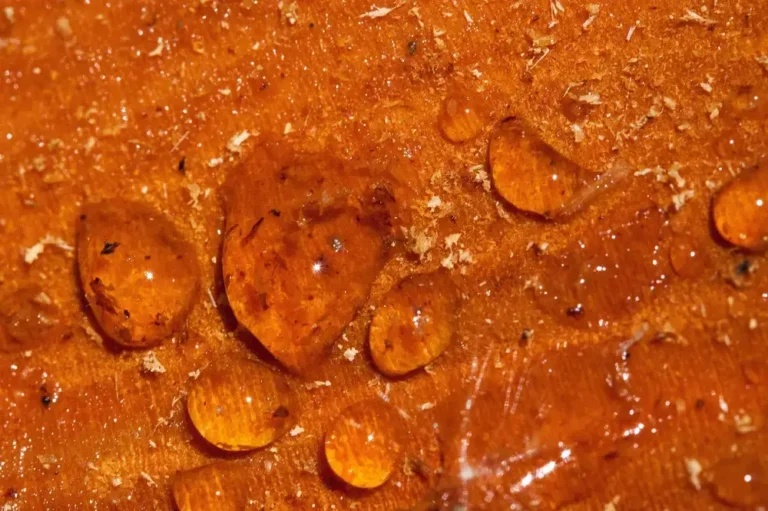 Epoxy Not Curing on Wood: What Went Wrong and Why