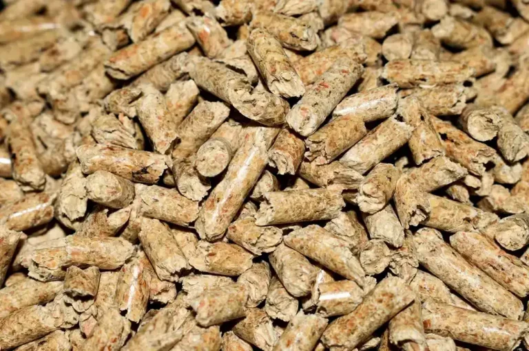 How to Clean Up Sawdust Fast: The Right Tool for Every Mess