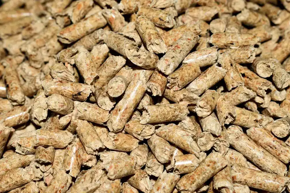How to Clean Up Sawdust Fast: The Right Tool for Every Mess