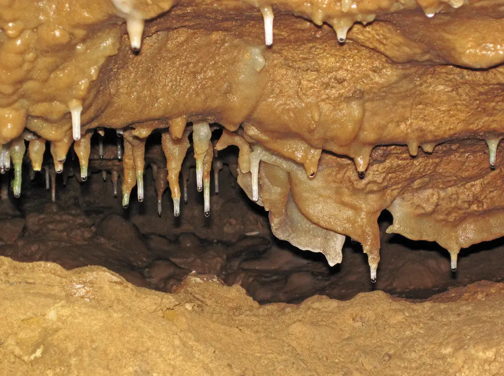 Close-up of a pocket hole joint with screw, jig, and glue squeeze-out on wood
