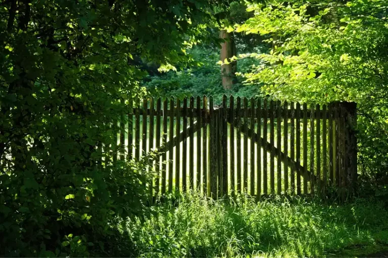 Homeowner inspects a cracked wood fence board to see if it can be glued in place