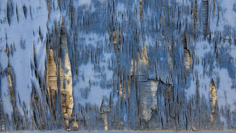 How to Seal Exterior Wood: UV vs. Moisture Damage Guide